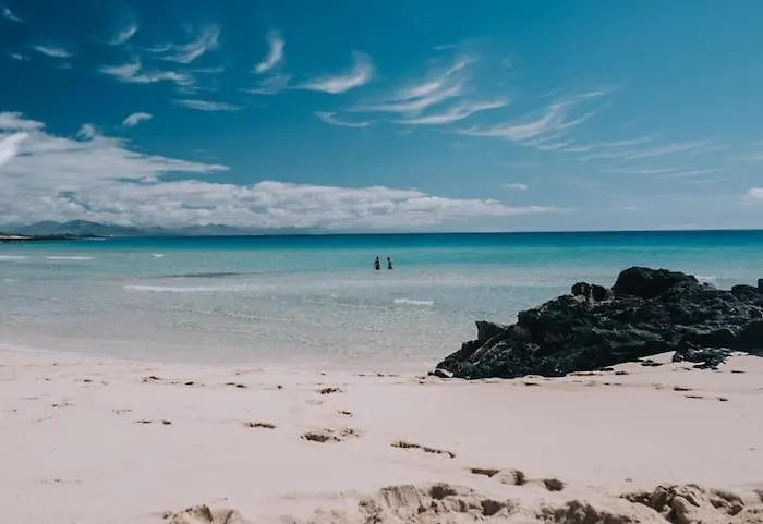 La Maxada Luz Maria * Cotillo