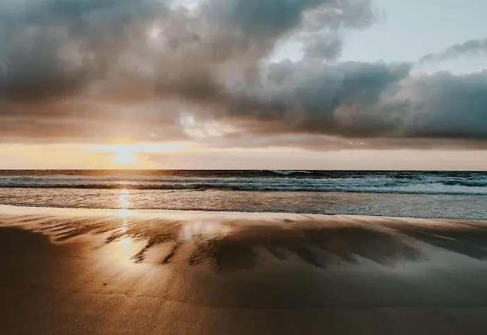 La Maxada Luz Maria シャレー Cotillo